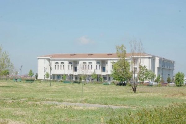 Elevii plantează copaci în campusul Universităţii Ovidius